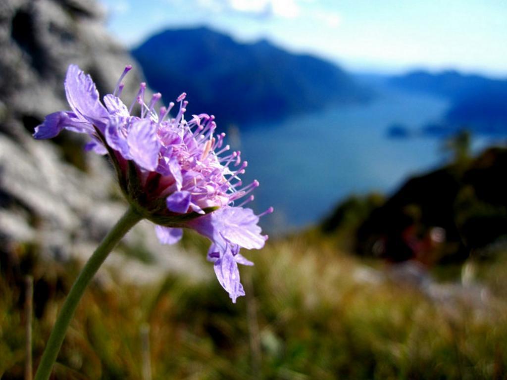 Menaggio Fronte Lago Eksteriør bilde